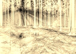 Sepia + Negatyw