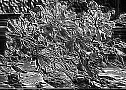 Skamielina