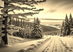 Sepia