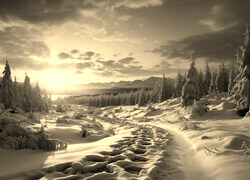 Sepia