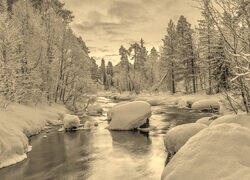 Sepia