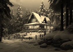 Szary + Sepia