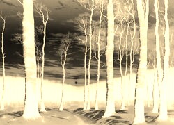 Sepia + Negatyw