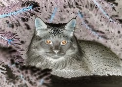 Negatyw