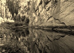 Szary + Sepia