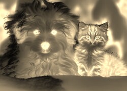 Sepia + Negatyw