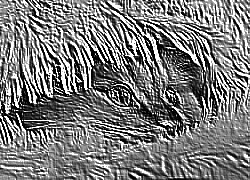 Skamielina