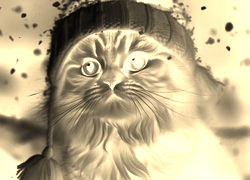 Sepia + Negatyw