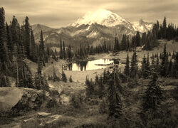 Sepia