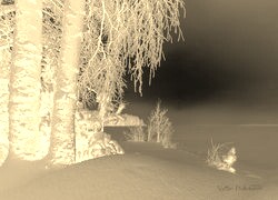 Sepia + Negatyw