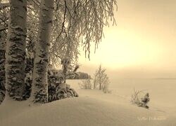 Szary + Sepia