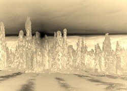 Sepia + Negatyw