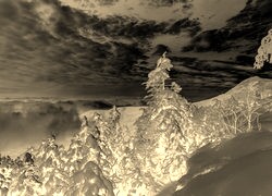 Sepia + Negatyw