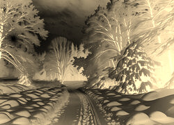 Sepia + Negatyw
