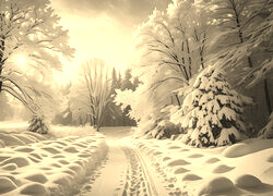 Szary + Sepia
