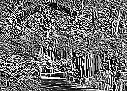 Skamielina
