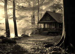 Sepia