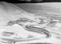 Szary + Negatyw