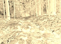 Sepia + Negatyw