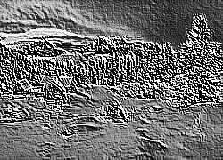 Skamielina