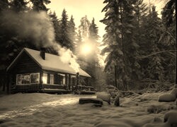 Szary + Sepia