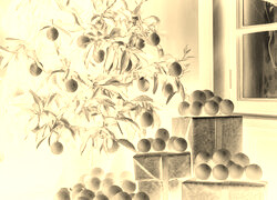 Sepia + Negatyw