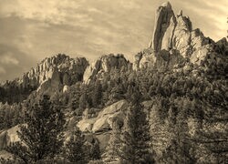 Sepia