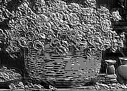 Skamielina