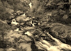Szary + Sepia