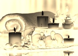 Sepia + Negatyw