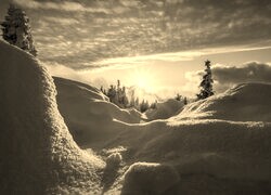 Szary + Sepia