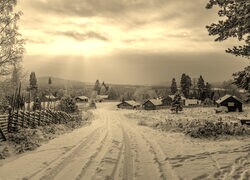 Szary + Sepia