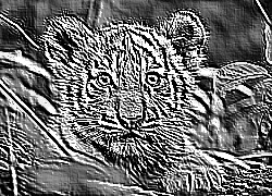 Skamielina