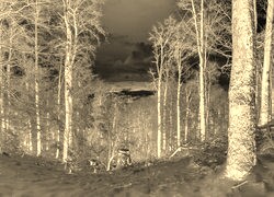 Sepia + Negatyw