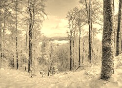 Szary + Sepia
