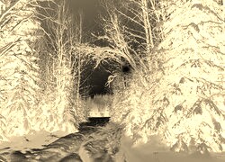 Sepia + Negatyw