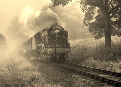 Sepia