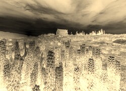 Sepia + Negatyw