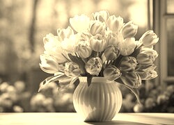 Szary + Sepia