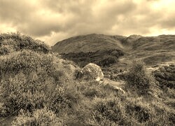 Sepia