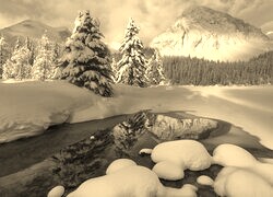 Szary + Sepia