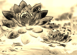 Sepia + Negatyw