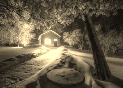Sepia