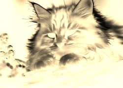 Sepia + Negatyw