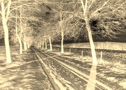 Sepia + Negatyw
