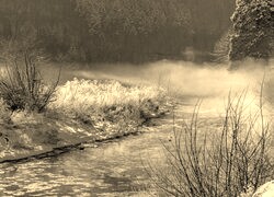 Szary + Sepia