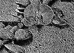 Skamielina