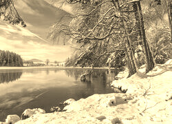 Sepia