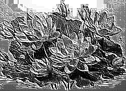 Skamielina
