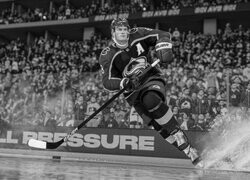 Szary